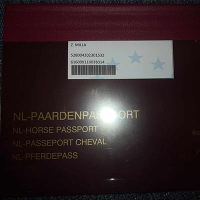 zdjęcie dokumentów konia