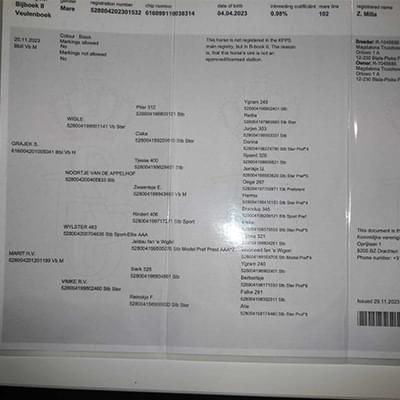 zdjęcie dokumentów konia