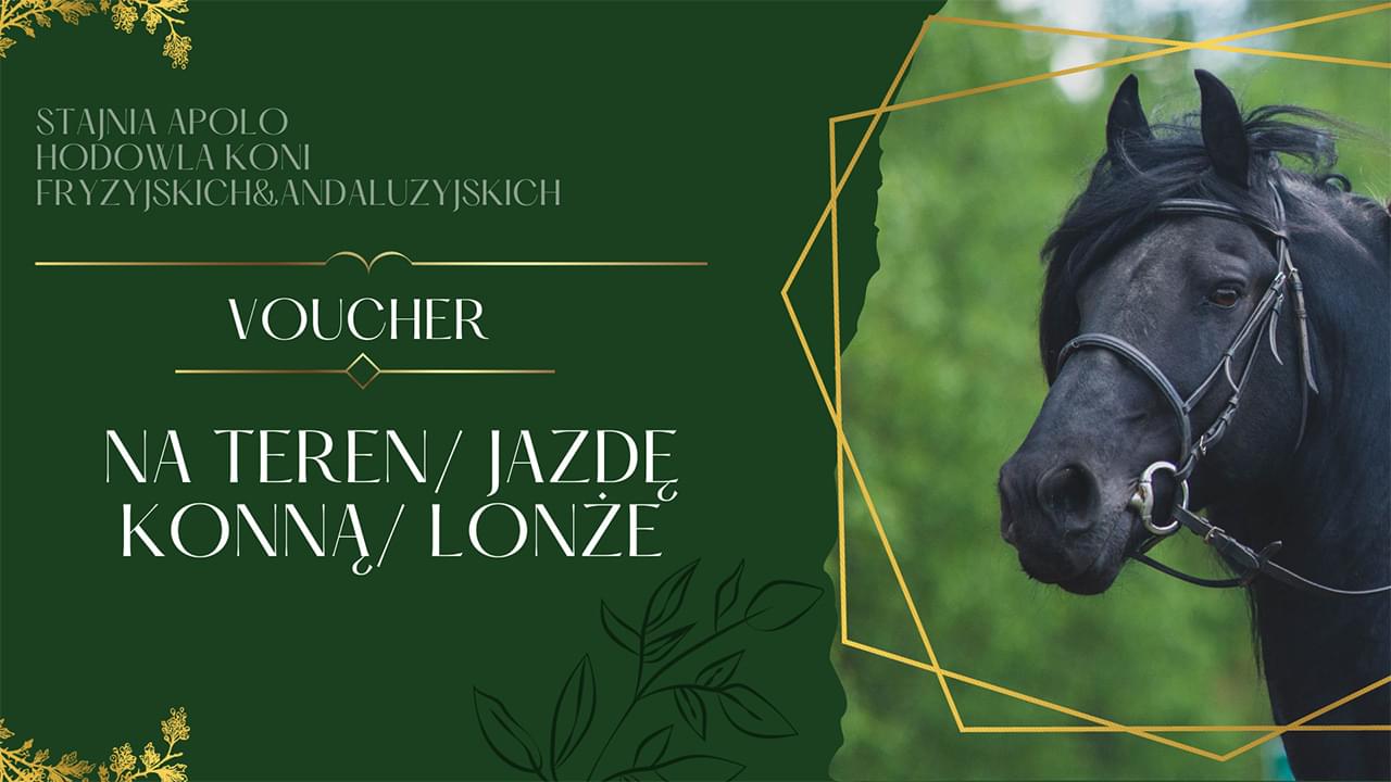 zdjęcie vouchera w kolorze zielonym na którym zajdują się informacje oraz zdjęcie czarnego konia